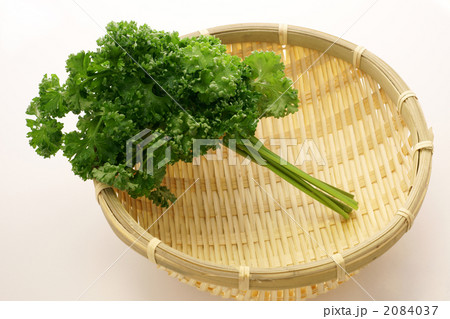パセリ パセリ 2084037