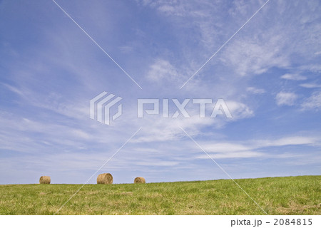 牧草ロール 2084815