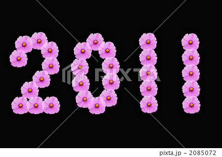 2011年 2011年 2085072