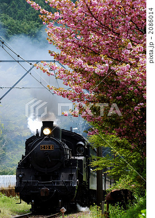 八重桜と蒸気機関車 八重桜と蒸気機関車 2086014