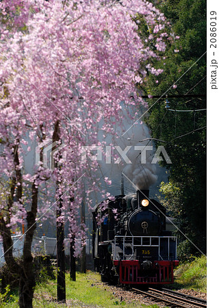 枝垂れ桜と蒸気機関車 2086019