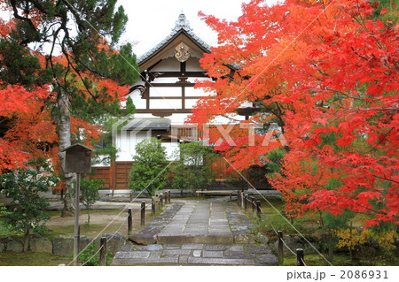 京都 宝厳院 京都 宝厳院 2086931