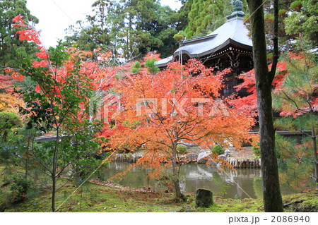 京都 宝厳院 京都 宝厳院 2086940