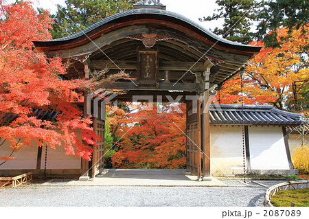 京都 二尊院 京都 二尊院 2087089