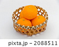 みかん 2088511