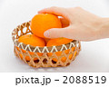 みかん 2088519