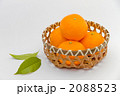 みかん 2088523