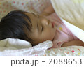 すやすや♪おやすみ♪ 2088653