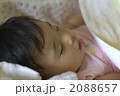 すやすや♪おやすみ♪ 2088657
