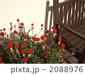 花とベンチ 2088976