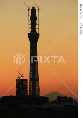 スカイツリーと富士山 2089546