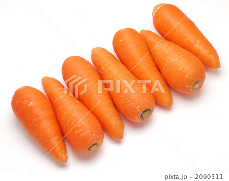 人参 人参 2090311