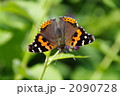 2090728