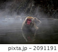 地獄谷温泉 2091191