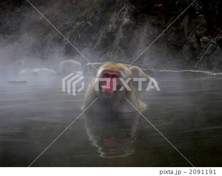 地獄谷温泉 2091191