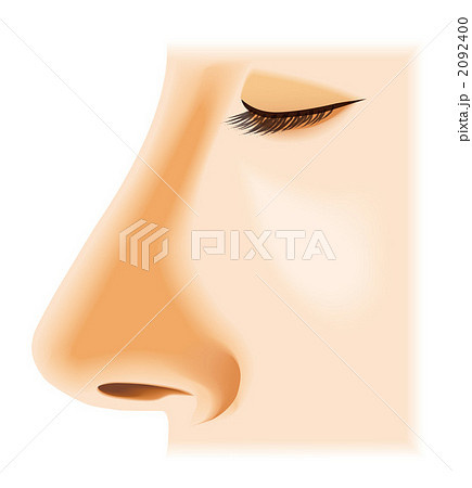 鼻のイラスト素材 2092400 Pixta
