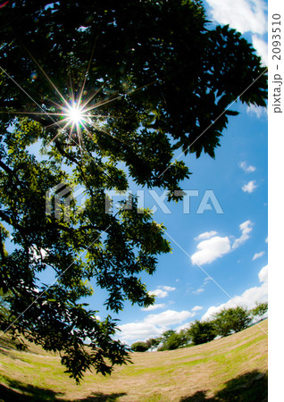 blue#001 blue#001 2093510