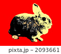 ウサギ002 2093661