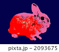ウサギ003 2093675