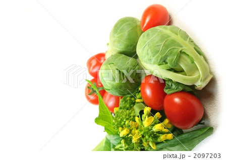 ミニ野菜と菜の花 ミニ野菜と菜の花 2097203
