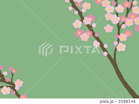 梅の花のフレーム 梅の花のフレーム 2098548