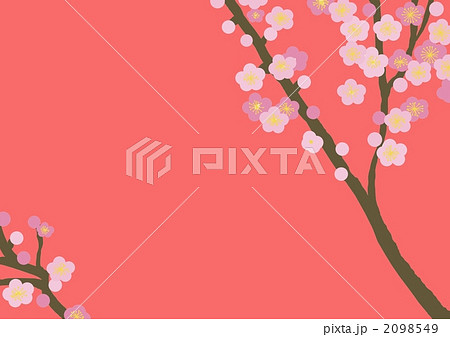 梅の花のフレーム 梅の花のフレーム 2098549