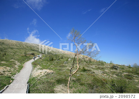 白根山登山道 白根山登山道 2098572