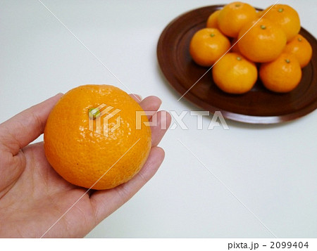 みかんを持った手 みかんを持った手 2099404