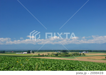 北海道 北海道 2099439