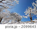 霧氷の高見山 2099643