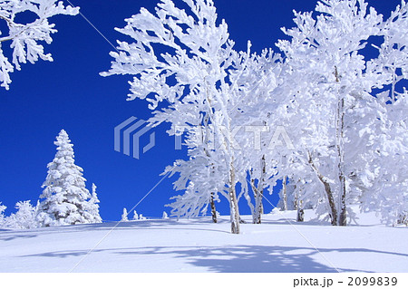 森吉山の霧氷 森吉山の霧氷 2099839