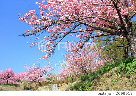 八塩いこいの森 八塩いこいの森 2099915