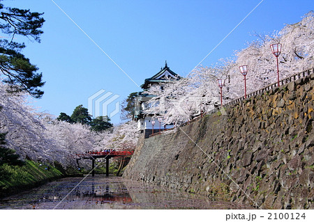 晴天の弘前公園と桜 2100124