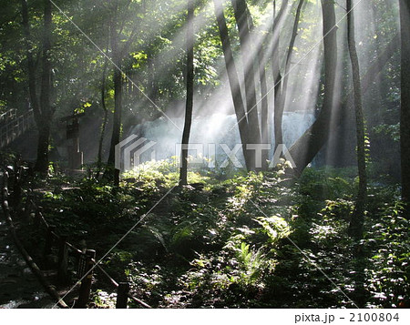 奥入瀬渓流　- 日本、青森 -  2100804