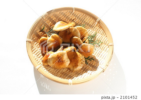 天然のナメコ 2101452