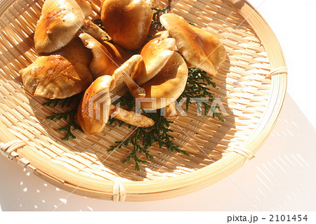 天然のナメコ 2101454