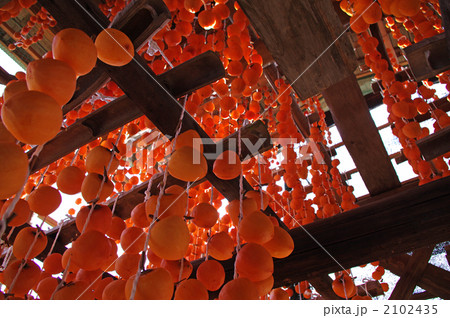 ころ柿づくり 2102435