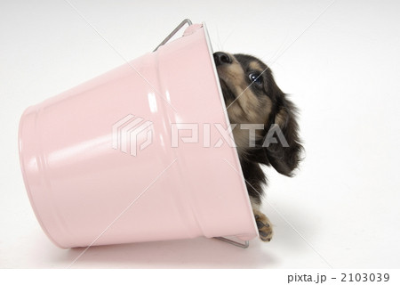2103039