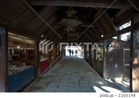 石手寺　参堂 2103148