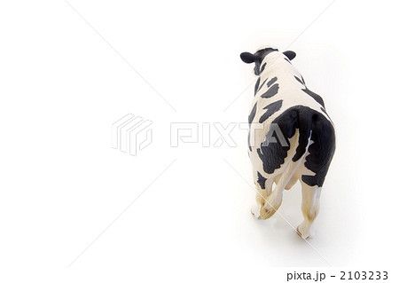 ホルスタイン牛真後ろから 2103233