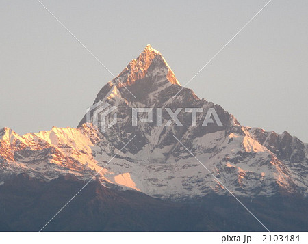 マチャプチャレ 2103484