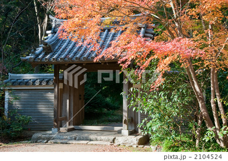 秋の山門 2104524