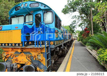 ケアンズ ケアンズ 2106015