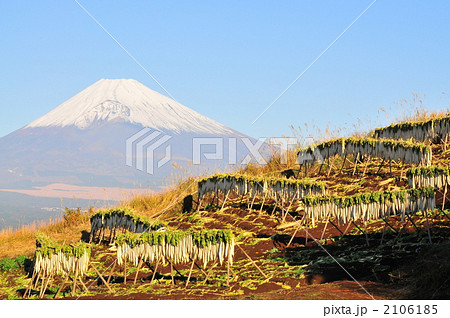 大根干し 2106185