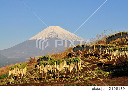 大根干し 2106189