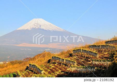 大根干し 2106192