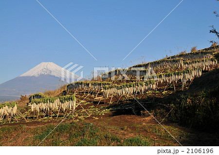 大根干し 2106196