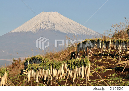 大根干し 2106204
