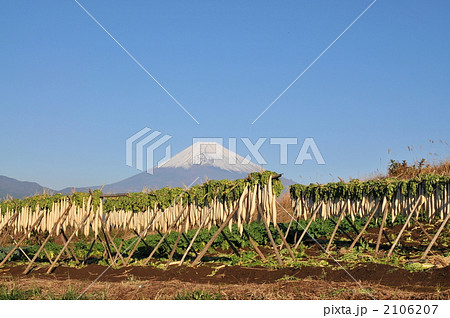 大根干し 2106207