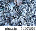 冬の地面2 2107059